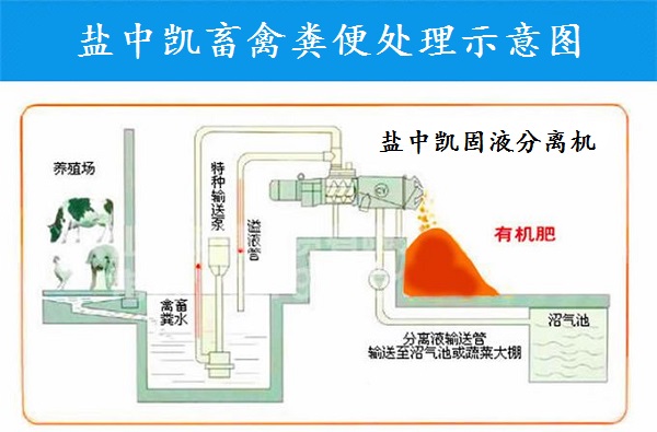 91免费黄色下载入口