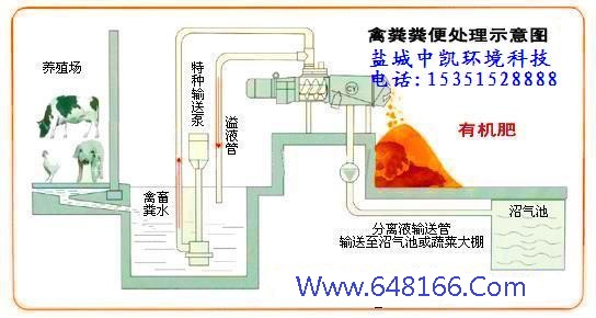 91免费黄色下载入口示意圖